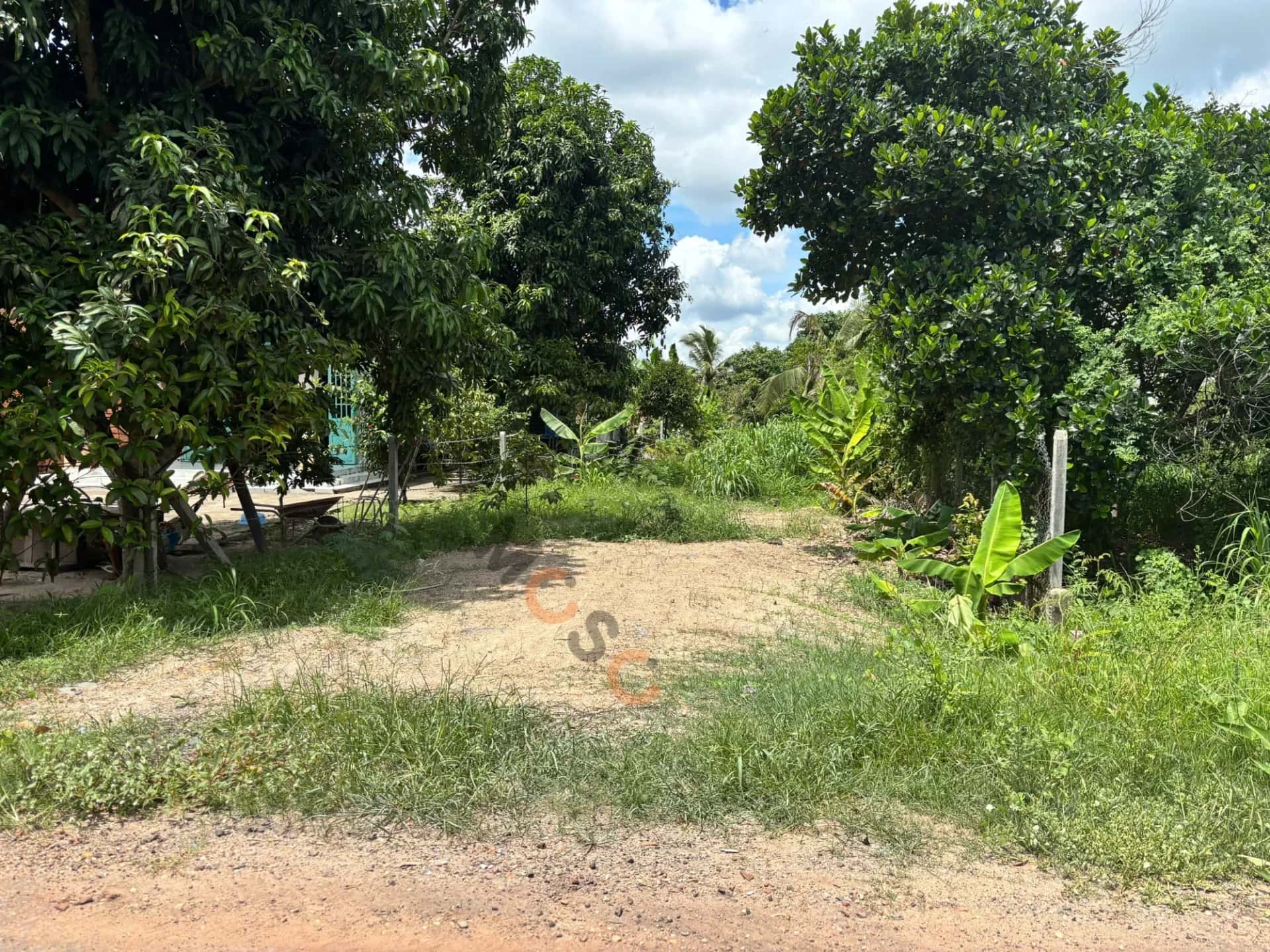 Bán đất hẻm đường DT 785, Ấp Tân Tây Huyện Tân Châu, Tây Ninh – giá 900 triệu — Hình 2 Bán đất hẻm đường DT 785, Ấp Tân Tây Huyện Tân Châu, Tây Ninh – giá 900 triệu — Hình 2