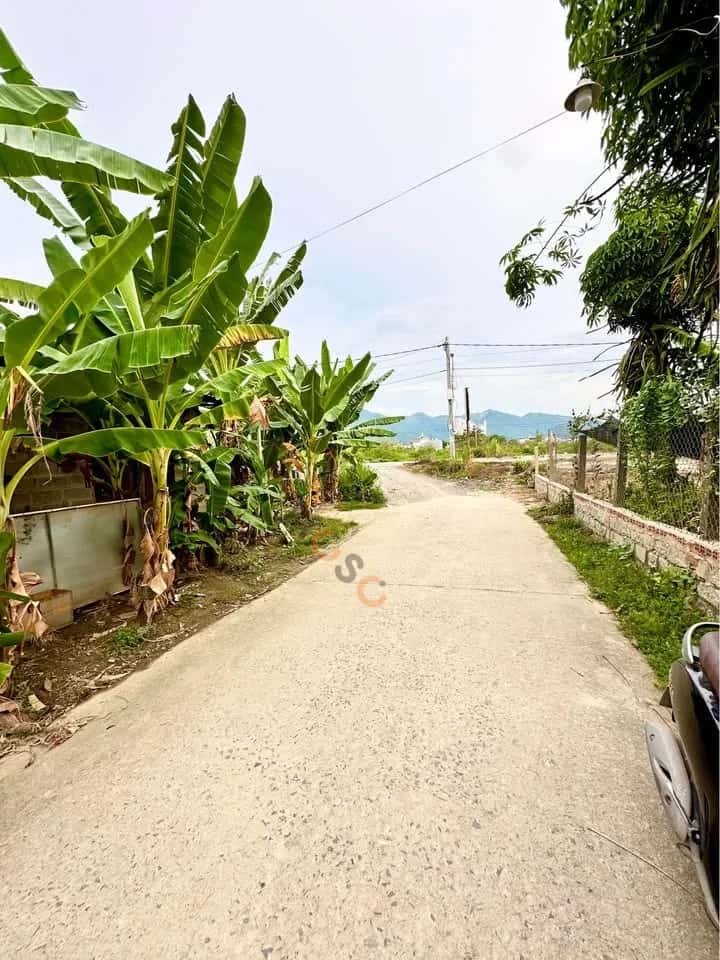 Bán đất Lỗ Đế Huyện Diên Khánh, Khánh Hòa – giá 1.9 tỷ — Hình 3 Bán đất Lỗ Đế Huyện Diên Khánh, Khánh Hòa – giá 1.9 tỷ — Hình 3