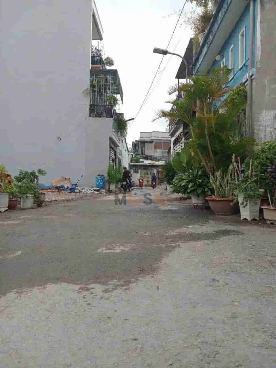 Image Image