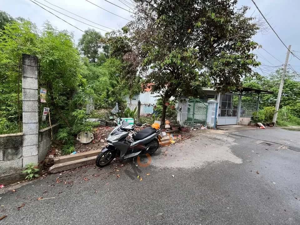 Hình ảnh nhà 2 Hình ảnh nhà 2