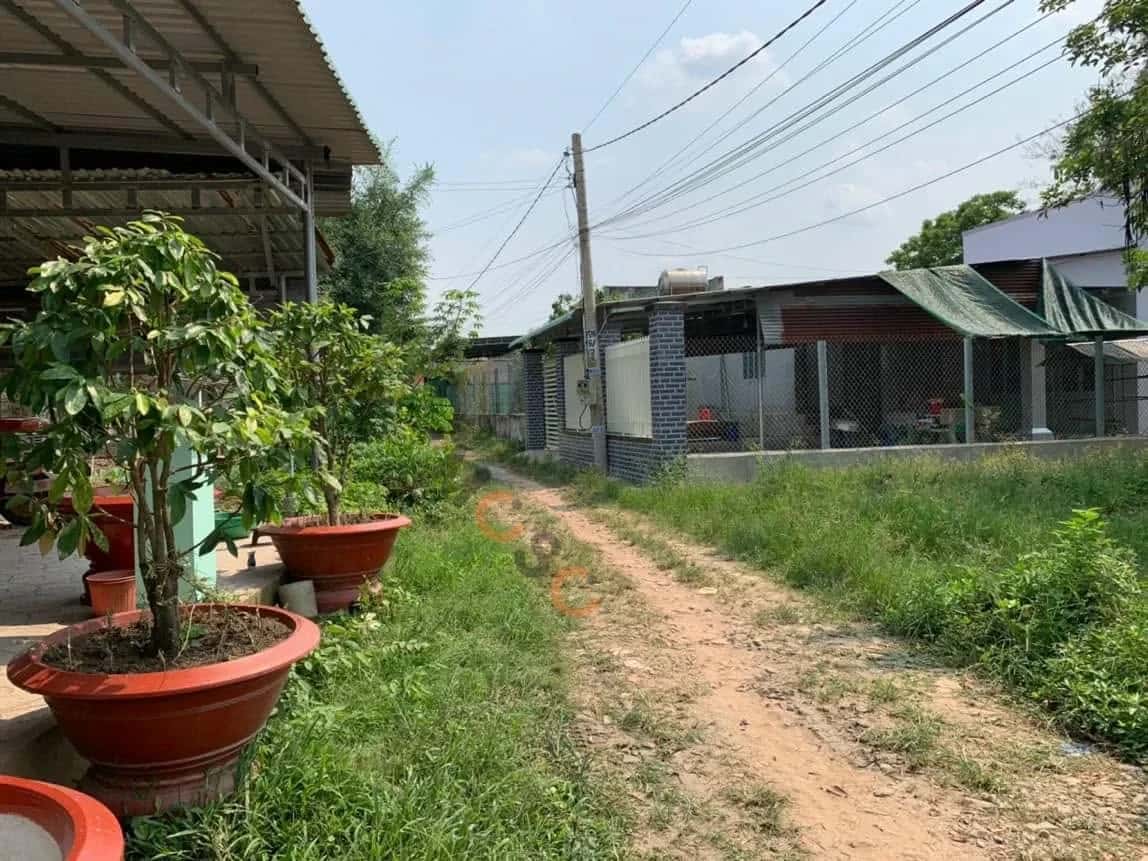 Bán đất ấp Bến Huyện Bến Cầu, Tây Ninh – giá 450 triệu — Hình 3 Bán đất ấp Bến Huyện Bến Cầu, Tây Ninh – giá 450 triệu — Hình 3