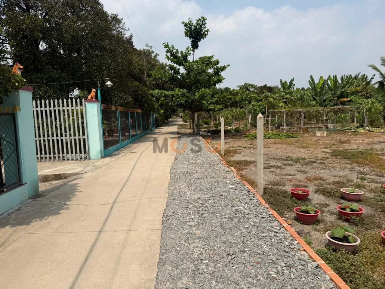 Hình ảnh nhà 2 Hình ảnh nhà 2