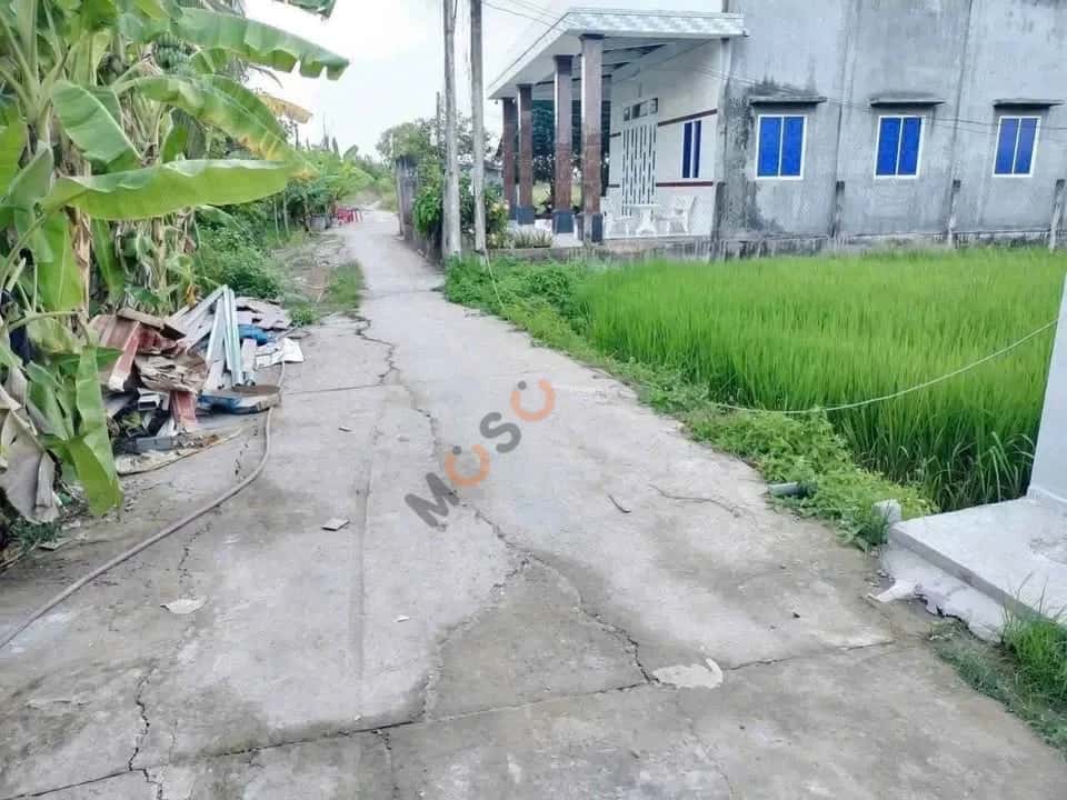 Hình ảnh nhà 2 Hình ảnh nhà 2
