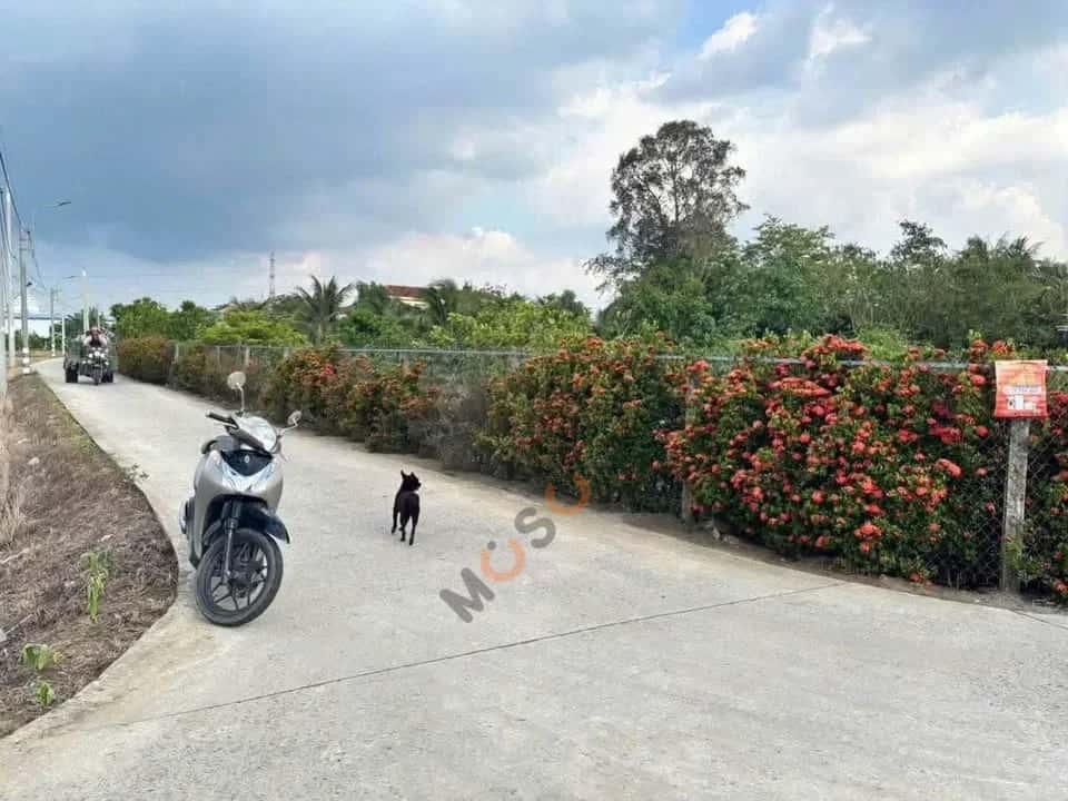 Hình ảnh nhà 3 Hình ảnh nhà 3