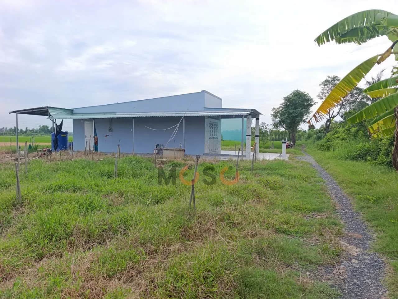 Bán đất Đường Rạch Chú Khá Huyện Gò Công Đông, Tiền Giang – giá 2.9 tỷ Bán đất Đường Rạch Chú Khá Huyện Gò Công Đông, Tiền Giang – giá 2.9 tỷ