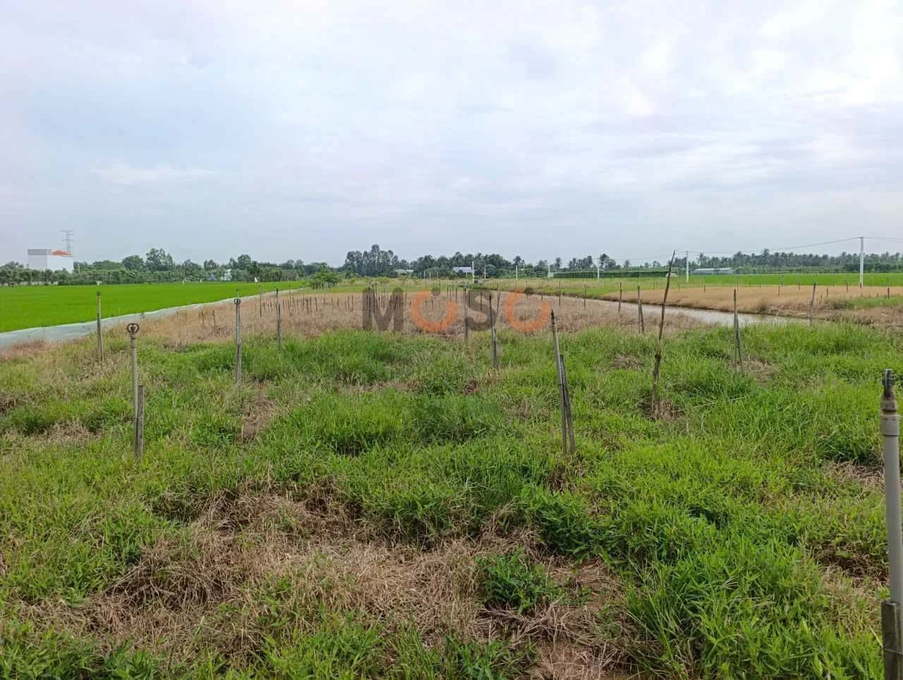Bán đất Đường Rạch Chú Khá Huyện Gò Công Đông, Tiền Giang – giá 2.9 tỷ — Hình 2 Bán đất Đường Rạch Chú Khá Huyện Gò Công Đông, Tiền Giang – giá 2.9 tỷ — Hình 2