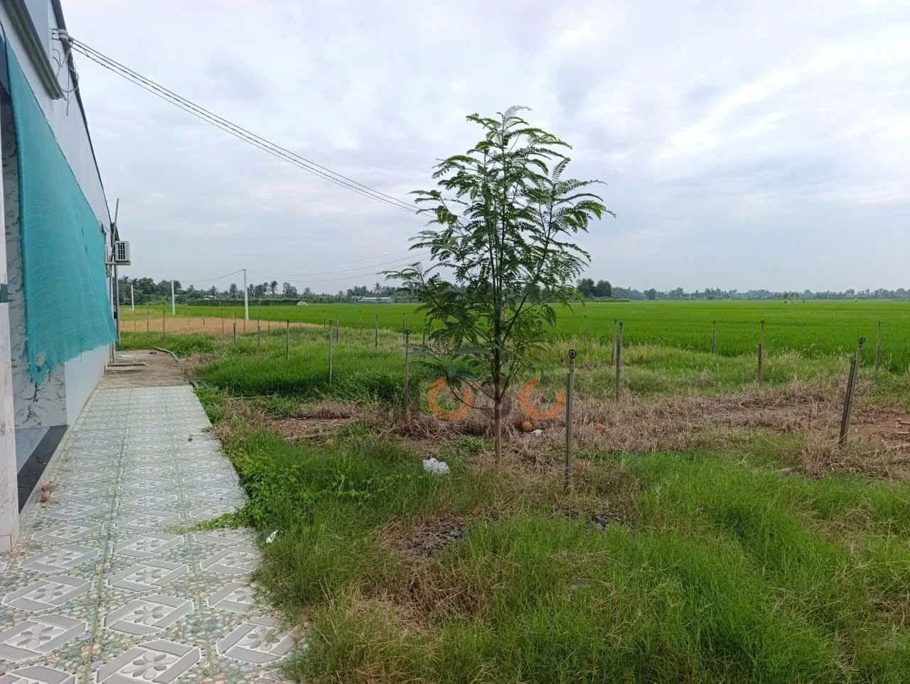 Bán đất Đường Rạch Chú Khá Huyện Gò Công Đông, Tiền Giang – giá 2.9 tỷ — Hình 3 Bán đất Đường Rạch Chú Khá Huyện Gò Công Đông, Tiền Giang – giá 2.9 tỷ — Hình 3