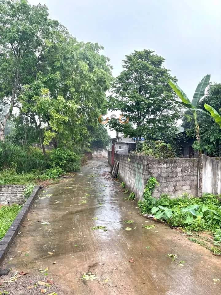 Bán đất Tổ dân phố 15 Thành phố Thái Nguyên, Thái Nguyên – giá 565 triệu — Hình 2 Bán đất Tổ dân phố 15 Thành phố Thái Nguyên, Thái Nguyên – giá 565 triệu — Hình 2