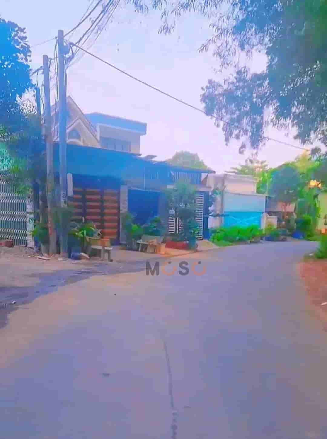 Image Image