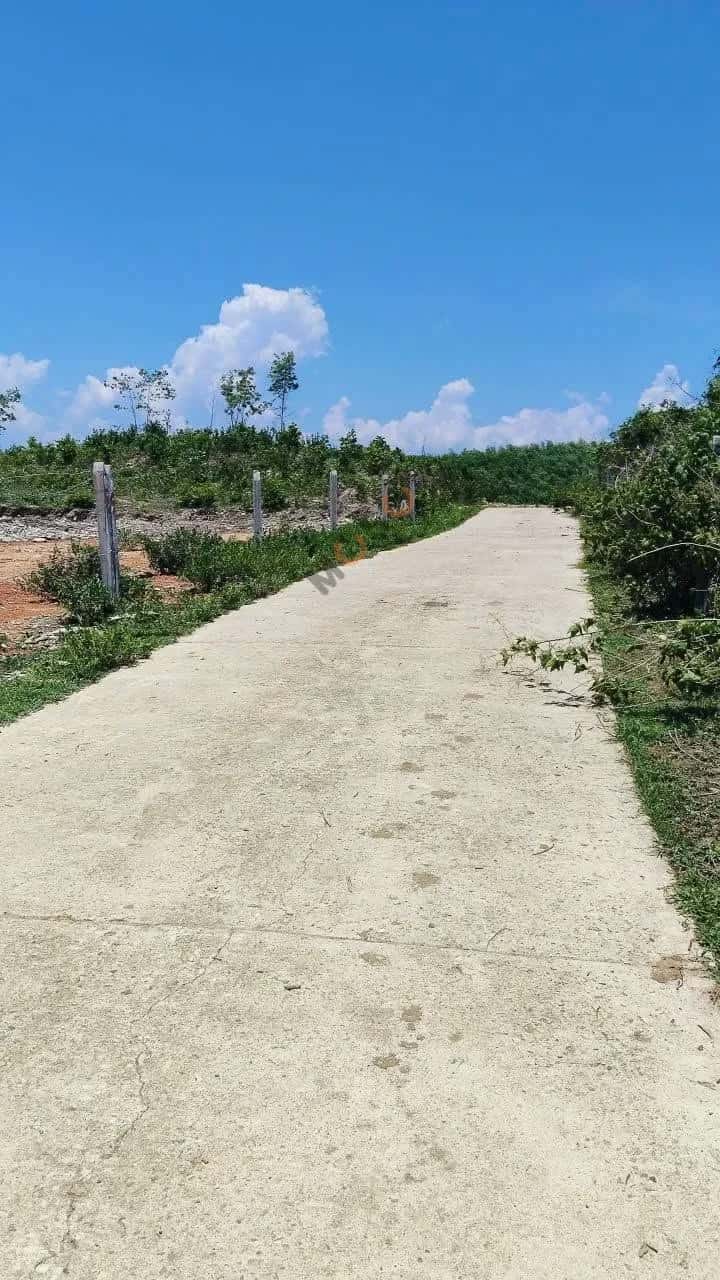 Bán đất Thôn Cà Hon Huyện Khánh Vĩnh, Khánh Hòa – giá 259 triệu — Hình 3 Bán đất Thôn Cà Hon Huyện Khánh Vĩnh, Khánh Hòa – giá 259 triệu — Hình 3