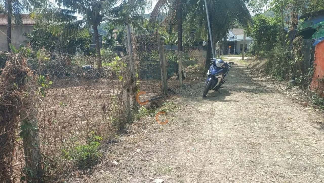 Hình ảnh nhà 2 Hình ảnh nhà 2