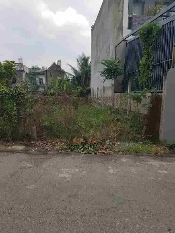 Image Image