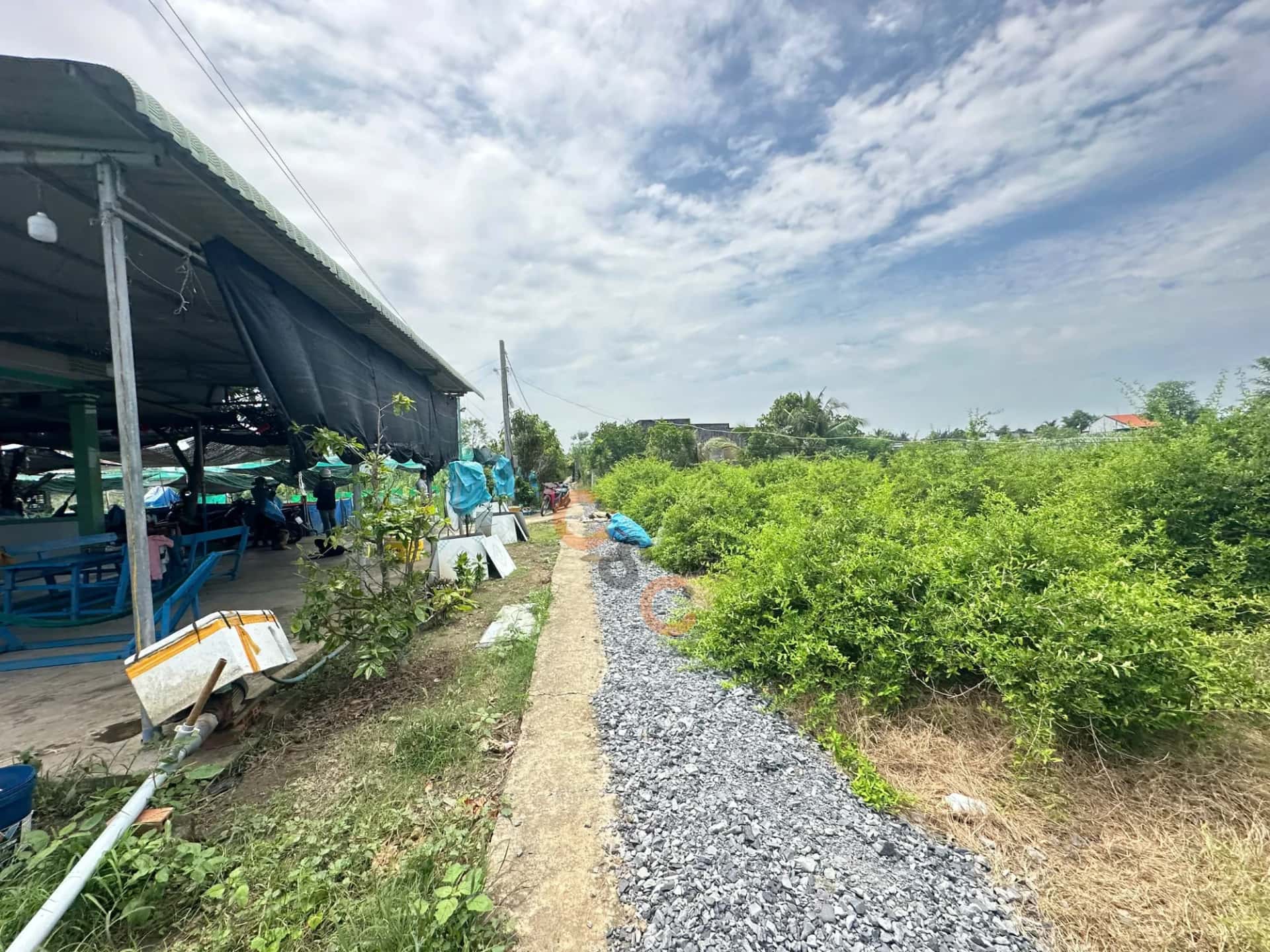 Bán đất ấp Ông Gồng Huyện Gò Công Đông, Tiền Giang – giá 360 triệu — Hình 2 Bán đất ấp Ông Gồng Huyện Gò Công Đông, Tiền Giang – giá 360 triệu — Hình 2