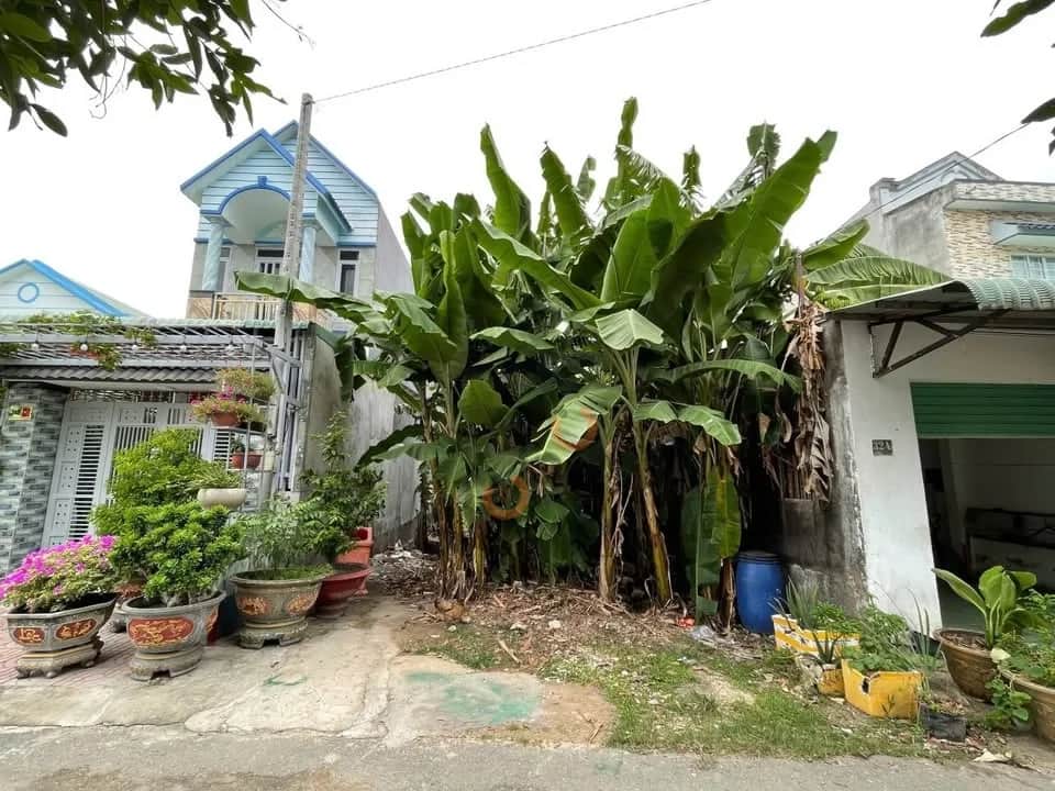 Bán đất Tỉnh Lộ 8 Huyện Củ Chi, TP.HCM – giá 2 tỷ Bán đất Tỉnh Lộ 8 Huyện Củ Chi, TP.HCM – giá 2 tỷ