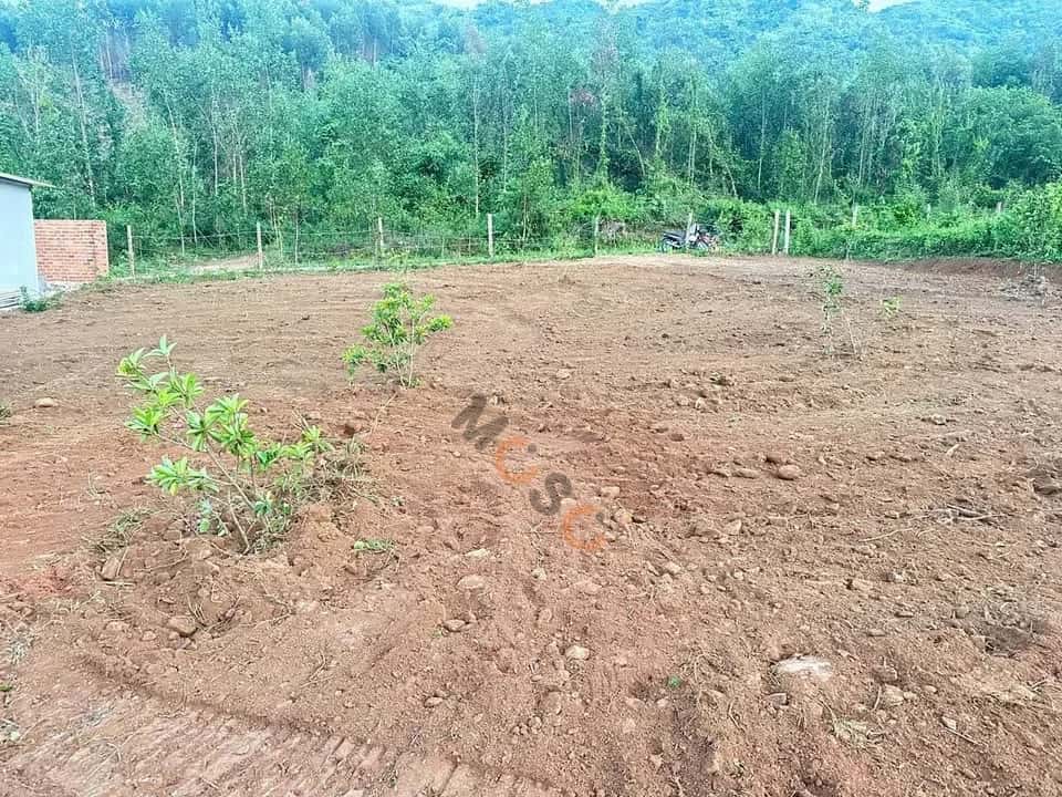 Hình ảnh nhà 2 Hình ảnh nhà 2