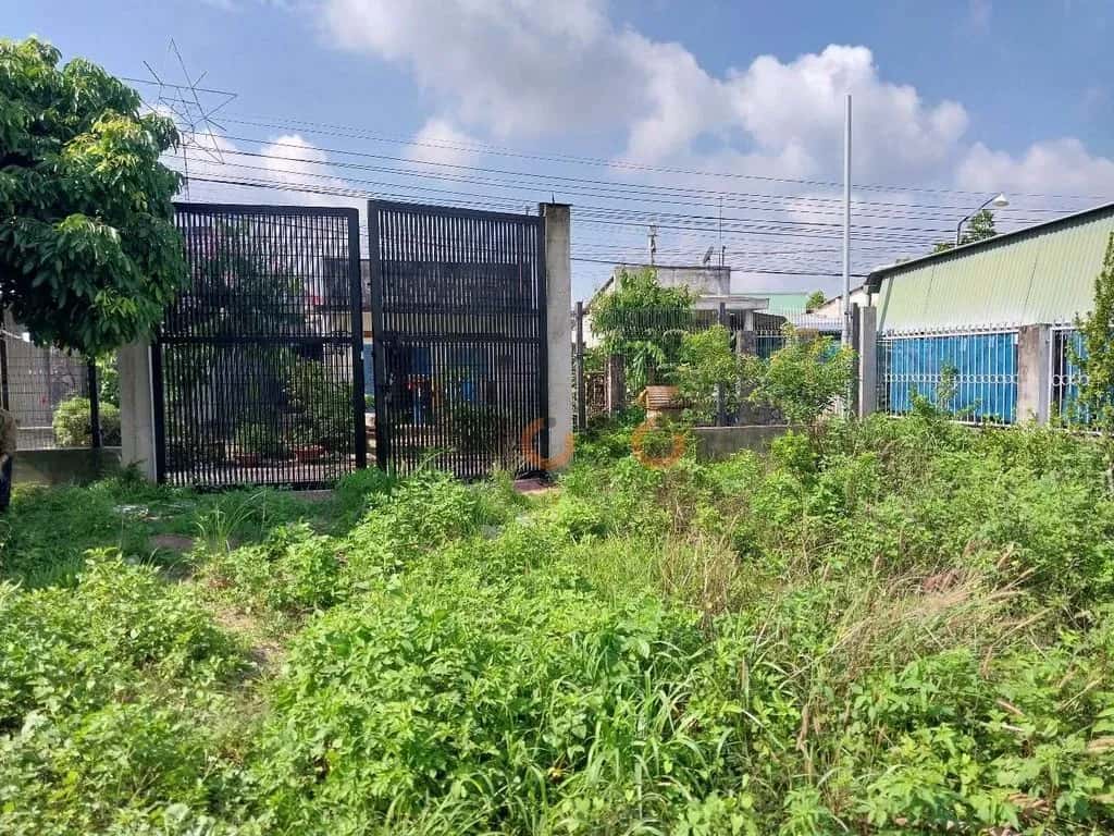 Cho thuê đất Đường Ấp 4 Huyện Long Thành, Đồng Nai – giá 10 triệu — Hình 3 Cho thuê đất Đường Ấp 4 Huyện Long Thành, Đồng Nai – giá 10 triệu — Hình 3
