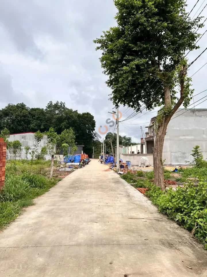Hình ảnh nhà 2 Hình ảnh nhà 2