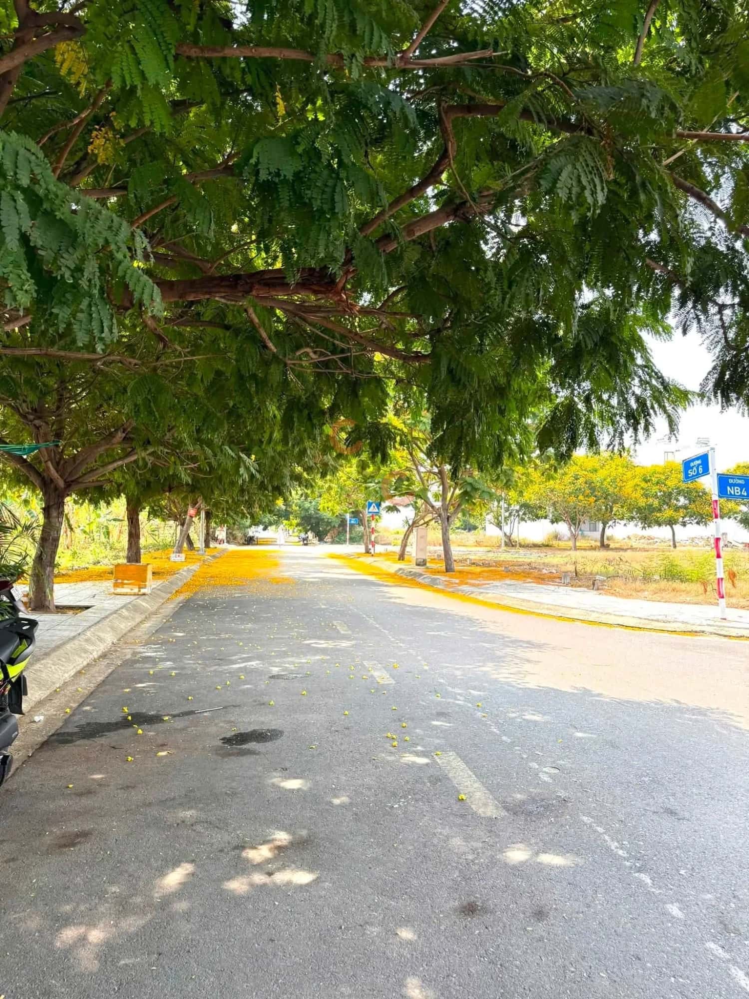Bán đất Đường số 6 , TĐC Hà Quang 2 Thành phố Nha Trang, Khánh Hòa – giá 5.8 tỷ — Hình 3 Bán đất Đường số 6 , TĐC Hà Quang 2 Thành phố Nha Trang, Khánh Hòa – giá 5.8 tỷ — Hình 3