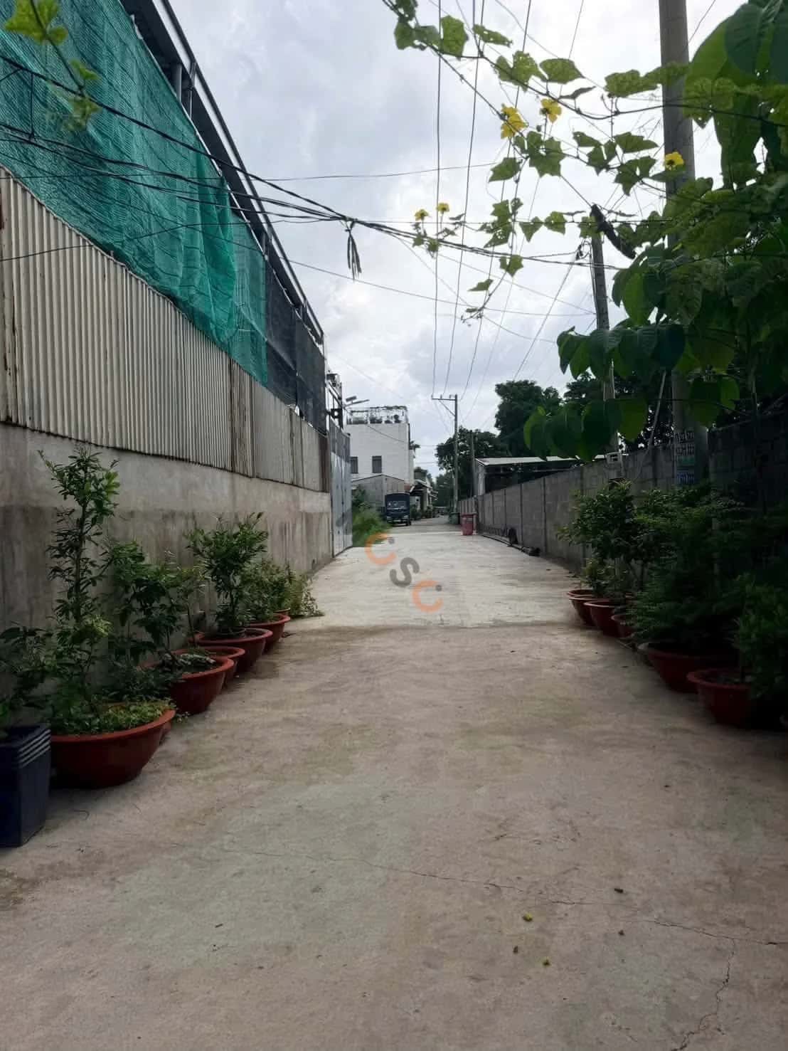 Bán đất Sông Lu Huyện Củ Chi, TP.HCM – giá 1 tỷ — Hình 3 Bán đất Sông Lu Huyện Củ Chi, TP.HCM – giá 1 tỷ — Hình 3