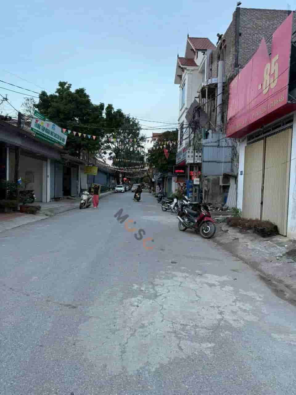 Image Image