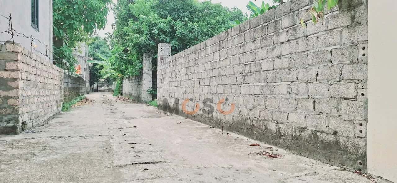 Hình ảnh nhà 3 Hình ảnh nhà 3