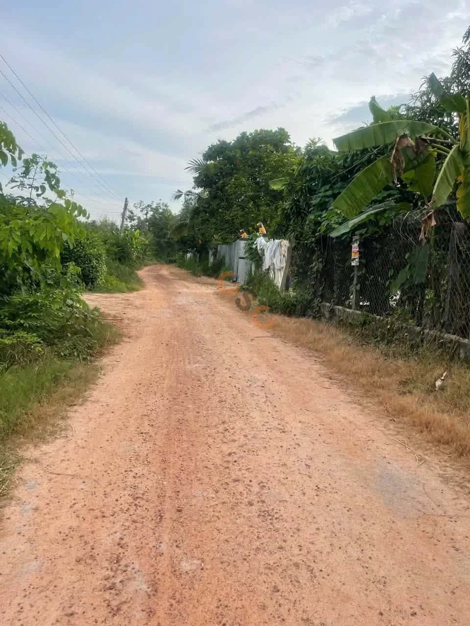 Bán đất Ấp Bình Lương Huyện Châu Thành, Tây Ninh – giá 199 triệu — Hình 2 Bán đất Ấp Bình Lương Huyện Châu Thành, Tây Ninh – giá 199 triệu — Hình 2