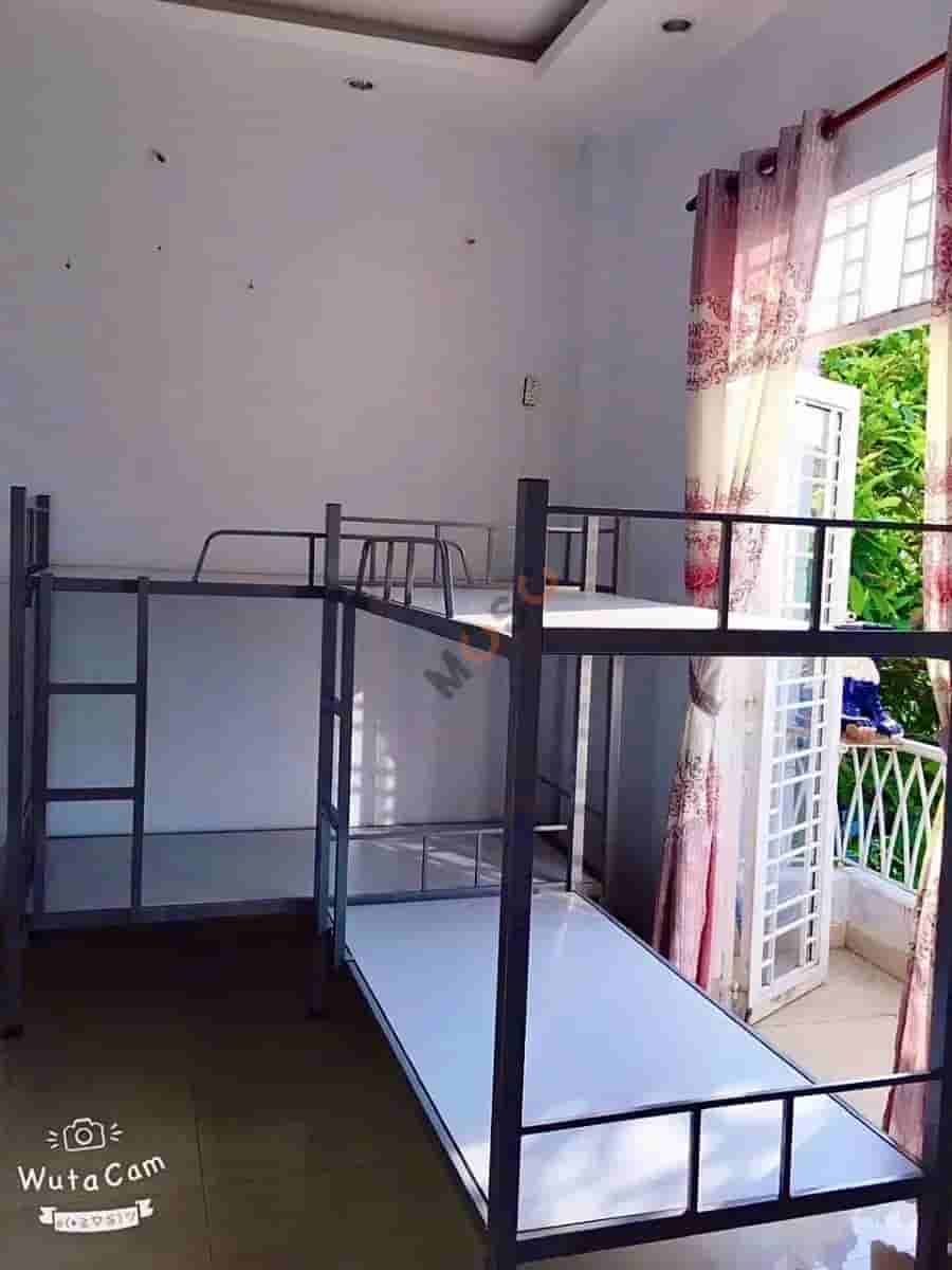 Image Image