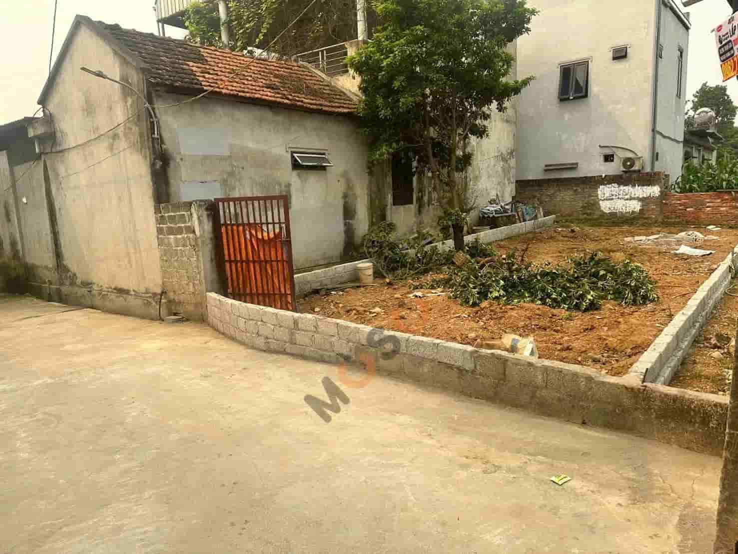 Image Image