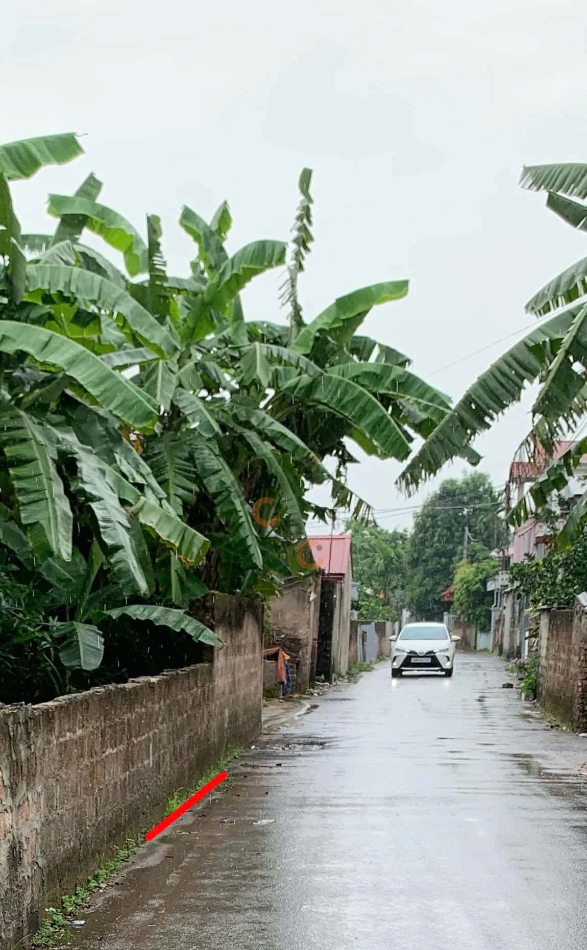 Hình ảnh nhà 2 Hình ảnh nhà 2