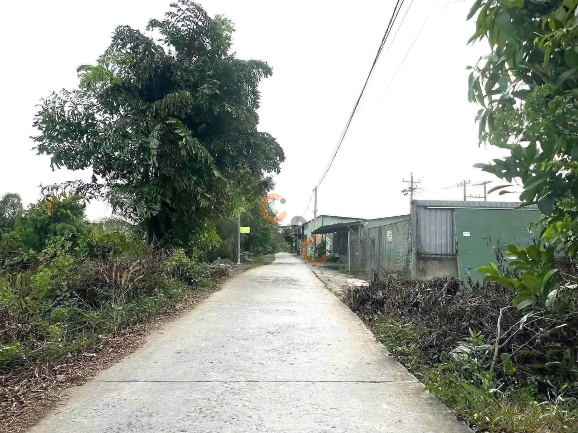 Hình ảnh nhà 3 Hình ảnh nhà 3