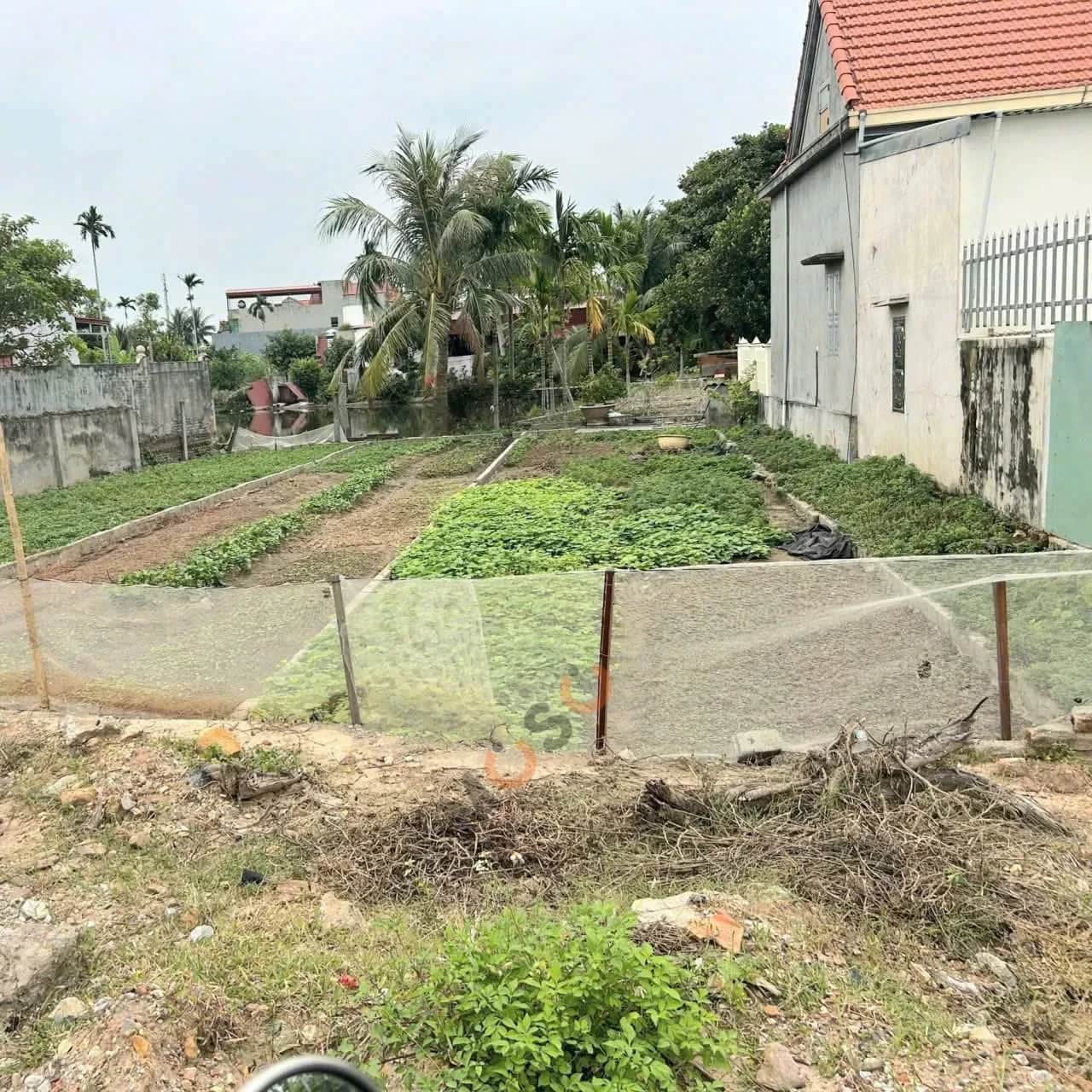 Bán đất Thôn Thái Lai Huyện Kiến Thuỵ, TP. Hải Phòng – giá 2.5 tỷ Bán đất Thôn Thái Lai Huyện Kiến Thuỵ, TP. Hải Phòng – giá 2.5 tỷ