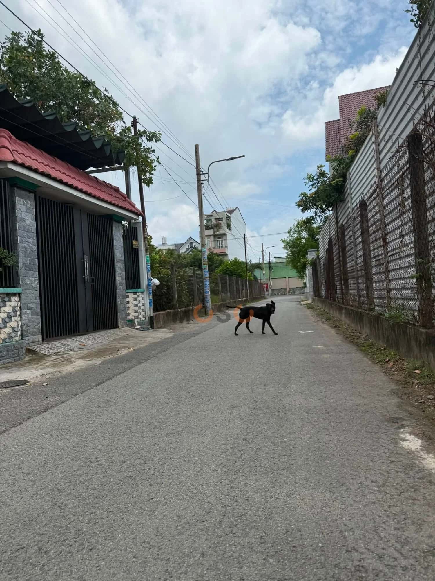 Bán đất Hẻm 217 Nguyễn Thị Minh Khai Thành phố Thủ Dầu Một, Bình Dương – giá 3 tỷ — Hình 2 Bán đất Hẻm 217 Nguyễn Thị Minh Khai Thành phố Thủ Dầu Một, Bình Dương – giá 3 tỷ — Hình 2