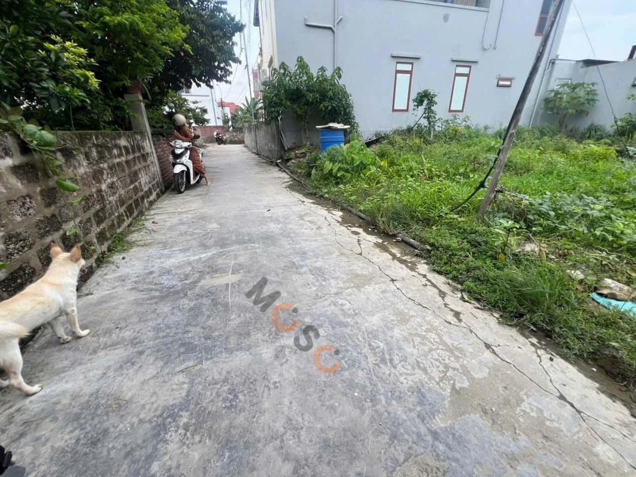 Bán đất Thôn Đồng Giá Thành phố Thuỷ Nguyên, TP. Hải Phòng – giá 1.4 tỷ — Hình 3 Bán đất Thôn Đồng Giá Thành phố Thuỷ Nguyên, TP. Hải Phòng – giá 1.4 tỷ — Hình 3