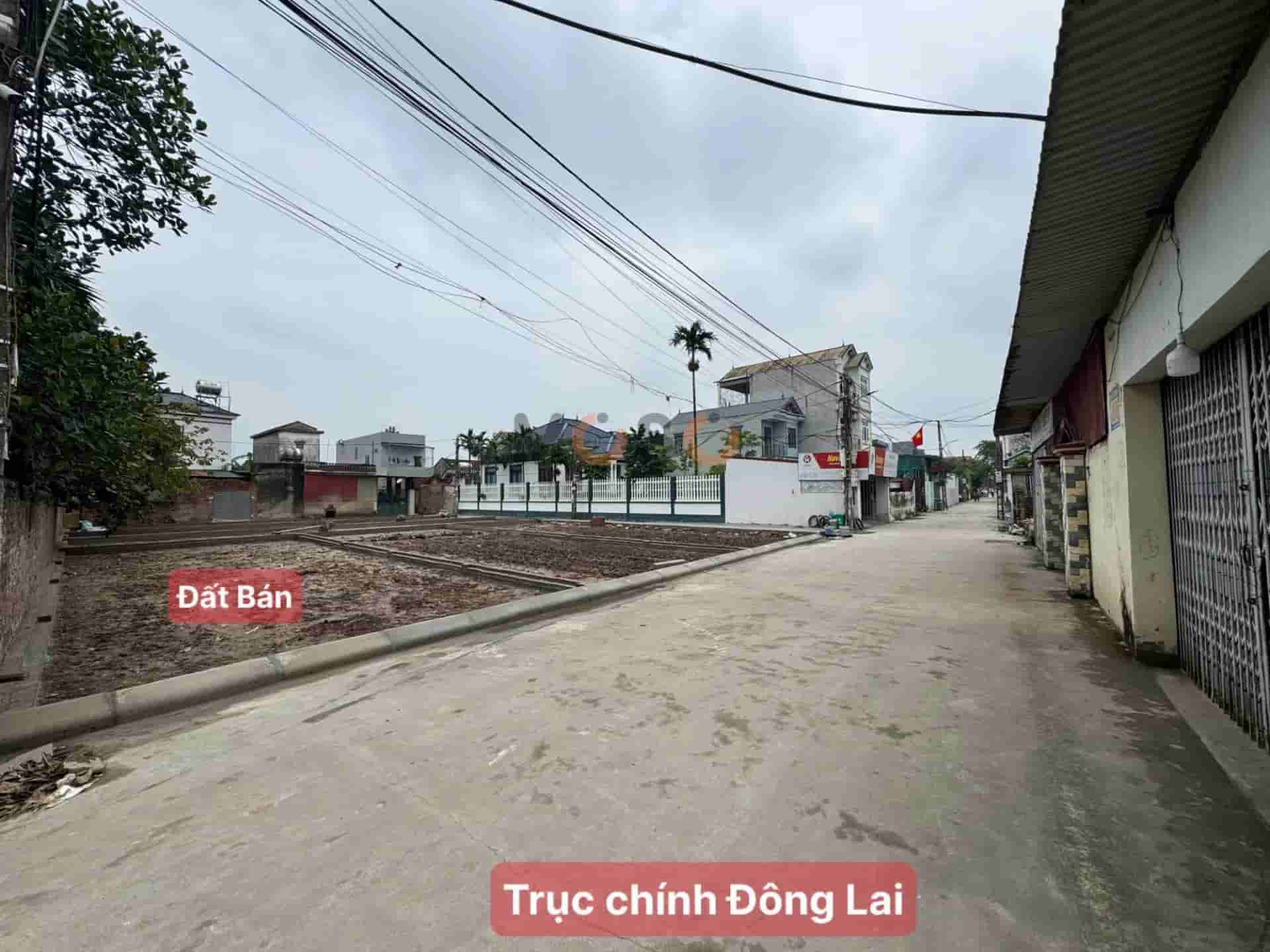 Image Image