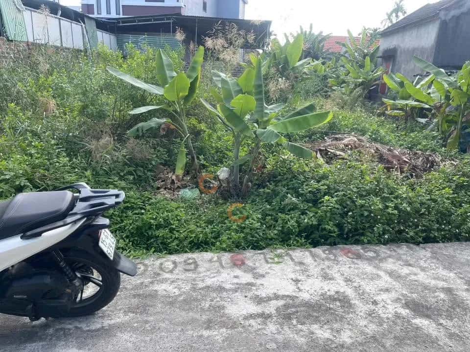 Bán đất thôn Trà Sơn Thành phố Thuỷ Nguyên, TP. Hải Phòng – giá 920 triệu — Hình 2 Bán đất thôn Trà Sơn Thành phố Thuỷ Nguyên, TP. Hải Phòng – giá 920 triệu — Hình 2