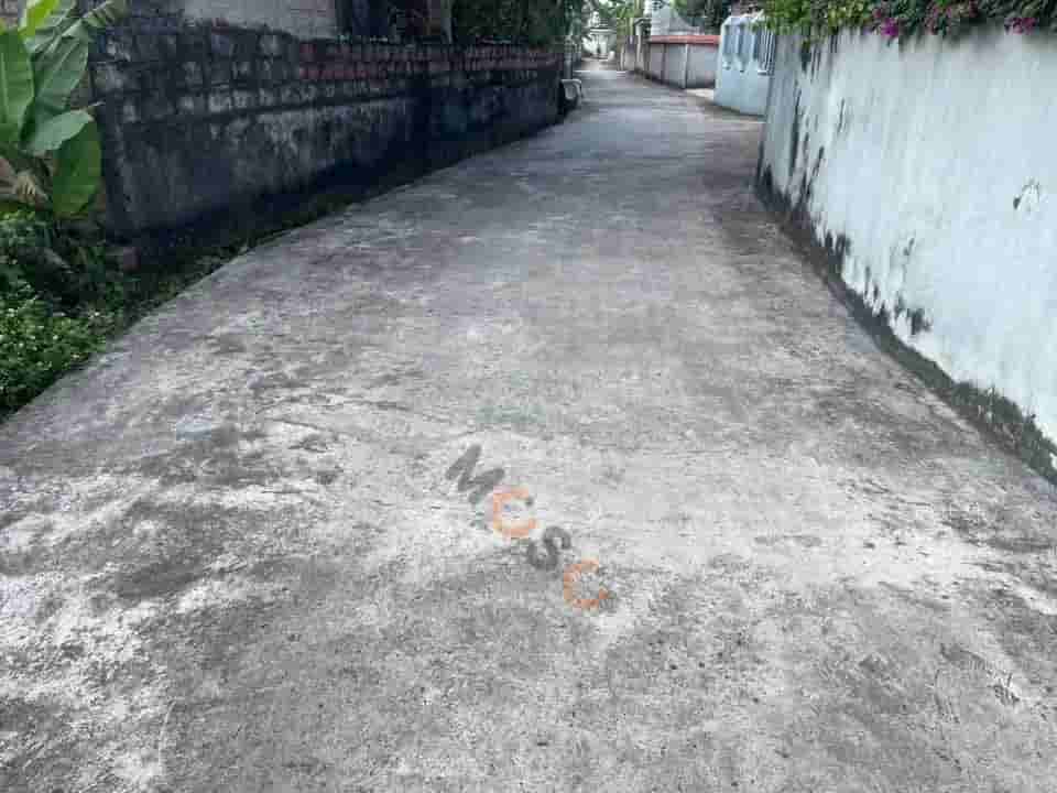 Image Image