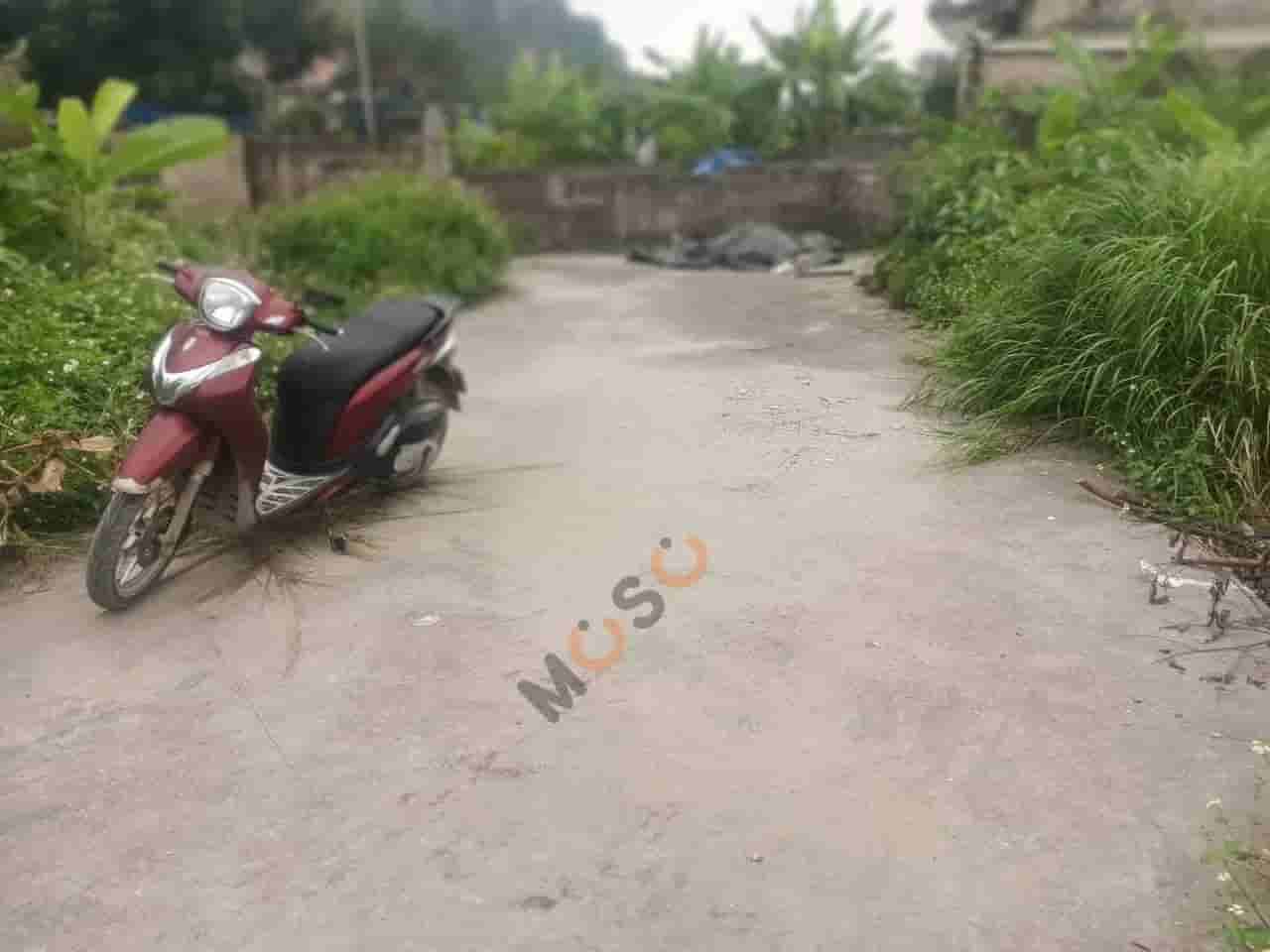 Image Image