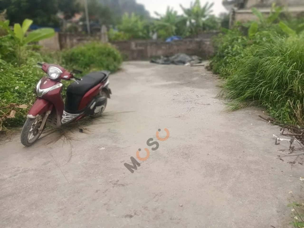 Bán đất thôn 12 Thành phố Thuỷ Nguyên, TP. Hải Phòng – giá 410 triệu — Hình 2 Bán đất thôn 12 Thành phố Thuỷ Nguyên, TP. Hải Phòng – giá 410 triệu — Hình 2