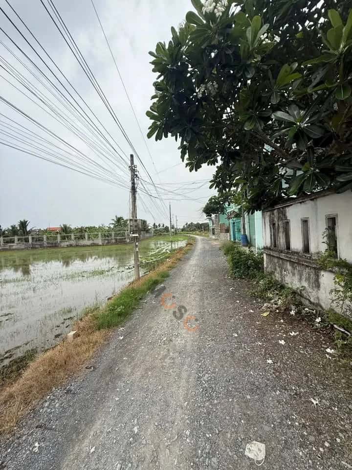 Hình ảnh nhà 3 Hình ảnh nhà 3