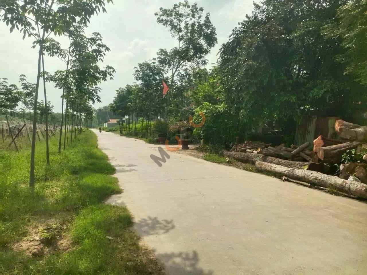 Hình ảnh nhà 3 Hình ảnh nhà 3