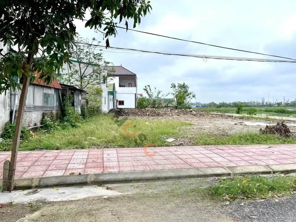 Bán đất Trần Đình Phong Thành phố Vinh, Nghệ An – giá 3.1 tỷ Bán đất Trần Đình Phong Thành phố Vinh, Nghệ An – giá 3.1 tỷ