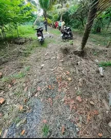 Hình ảnh nhà 3 Hình ảnh nhà 3