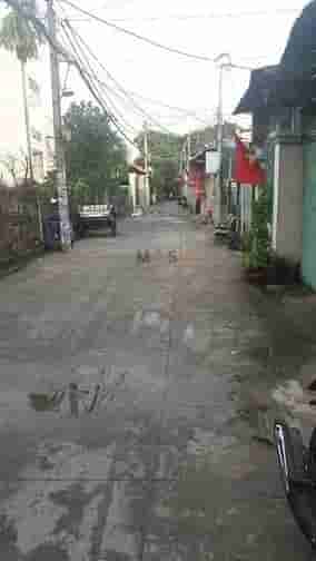 Image Image