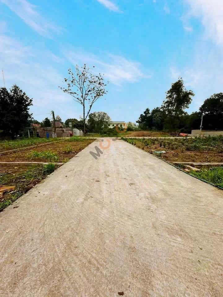Bán đất thôn Văn Phú Huyện Mỹ Đức, TP. Hà Nội – giá 760 triệu Bán đất thôn Văn Phú Huyện Mỹ Đức, TP. Hà Nội – giá 760 triệu