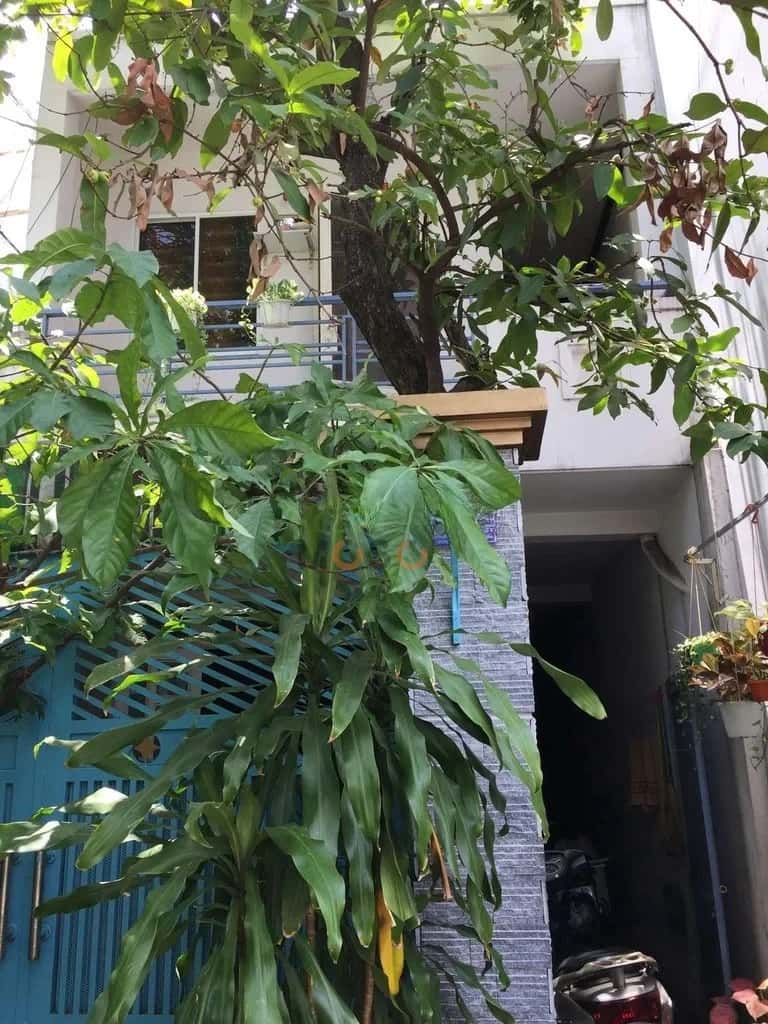 Bán nhà hẻm 299/32B Lê Quang Sung Quận 6, TP.HCM – 4 phòng ngủ, giá 12.2 tỷ — Hình 2 Bán nhà hẻm 299/32B Lê Quang Sung Quận 6, TP.HCM – 4 phòng ngủ, giá 12.2 tỷ — Hình 2