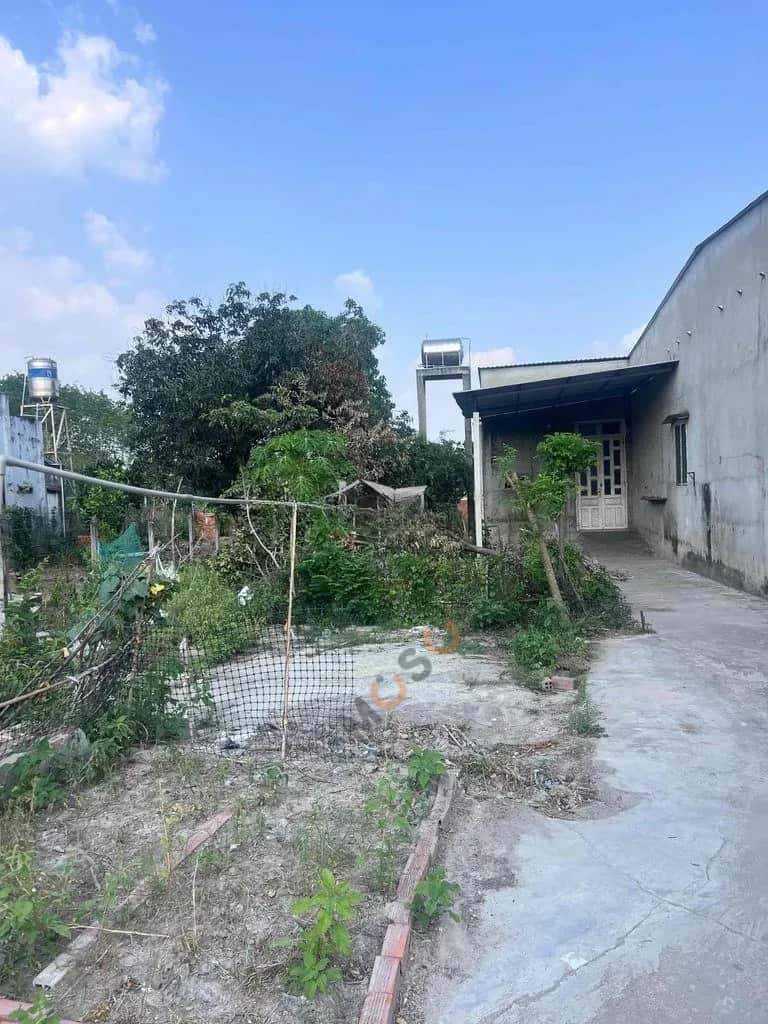 Cho thuê đất Tỉnh lộ 7 Huyện Củ Chi, TP.HCM – giá 3 triệu — Hình 2 Cho thuê đất Tỉnh lộ 7 Huyện Củ Chi, TP.HCM – giá 3 triệu — Hình 2
