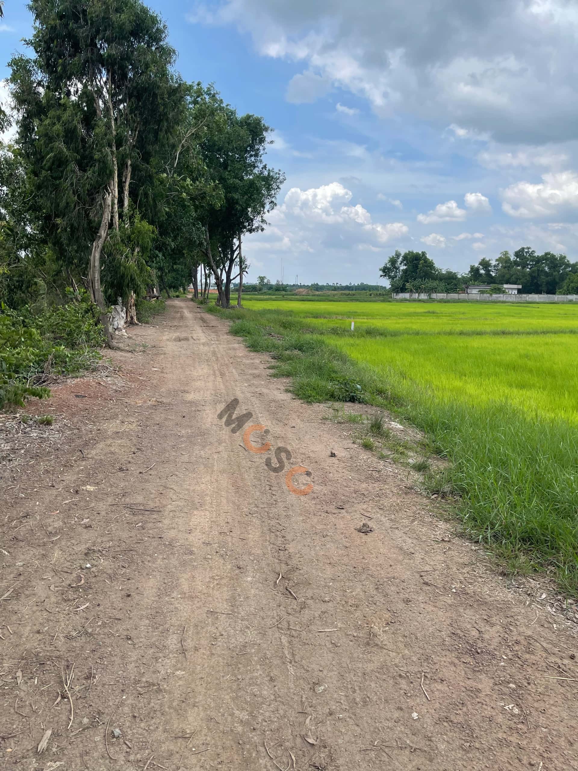 Hình ảnh nhà 3 Hình ảnh nhà 3