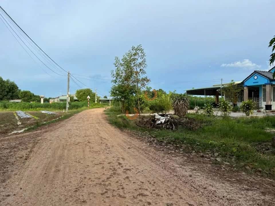 Bán đất ấp Bến Cừ Huyện Châu Thành, Tây Ninh – giá 250 triệu — Hình 3 Bán đất ấp Bến Cừ Huyện Châu Thành, Tây Ninh – giá 250 triệu — Hình 3