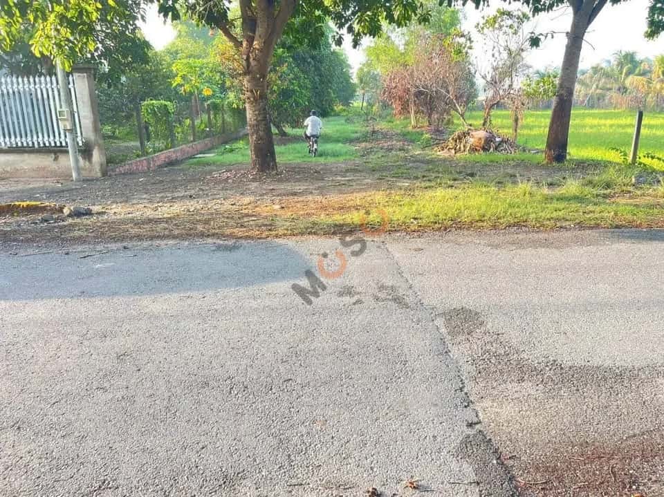 Hình ảnh nhà 2 Hình ảnh nhà 2