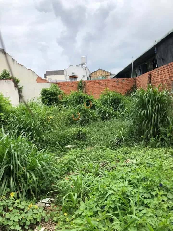 Hình ảnh nhà 3 Hình ảnh nhà 3